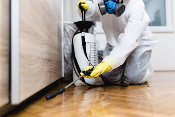 Best Best Pest Control Companies  in Casselberry, FL