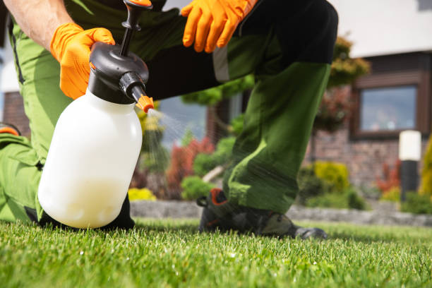 Trusted Casselberry, FL Pest Control Experts