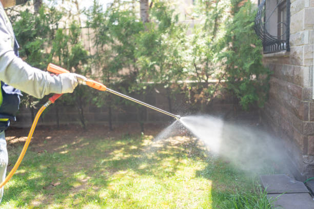 Spider Control Near Me in Casselberry, FL