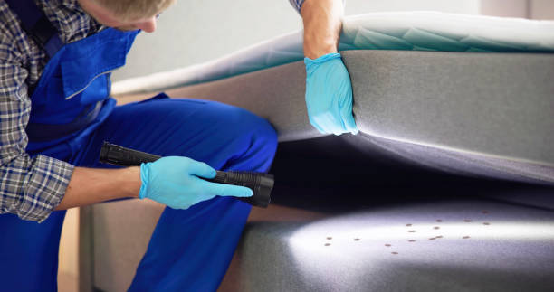 Best Rat Extermination Near Me  in Casselberry, FL