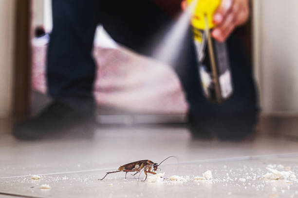 Pest Control Cost in Casselberry, FL